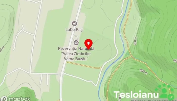 hartă a Valea Zimbrilor Rezervație naturală, Grădină zoologică în Acriș