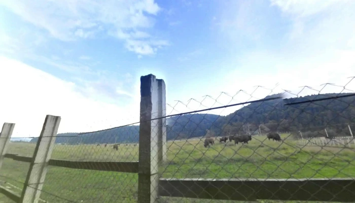 Valea Zimbrilor -  Street View Si 360deg - Acriș
