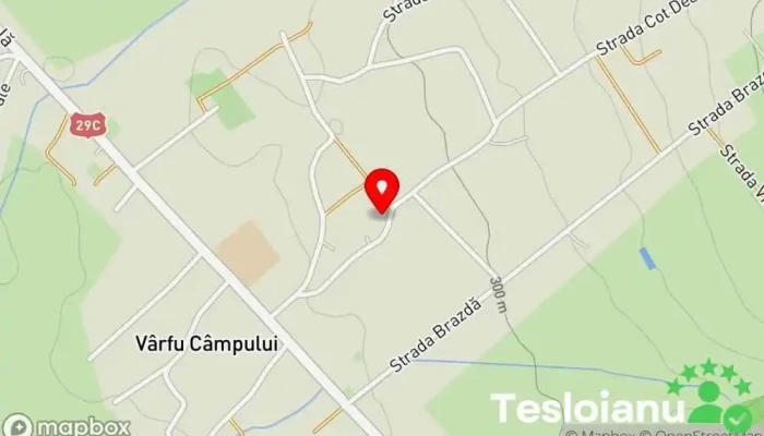 hartă a Vârfu Câmpului  în Vârfu Câmpului