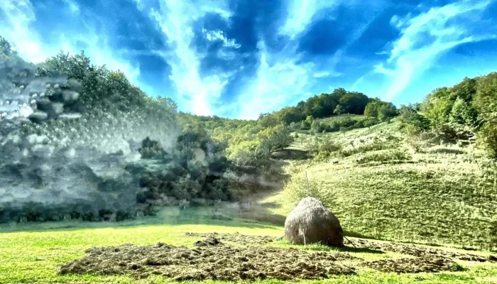 Vata Aproape De Mine - Vața De Jos