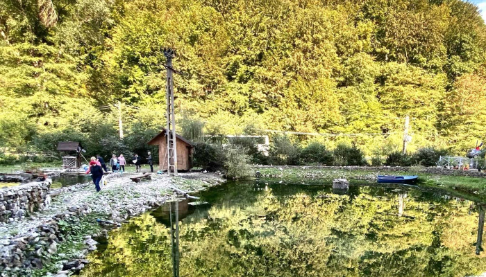 Vata Vața -  De Jos - Vața De Jos