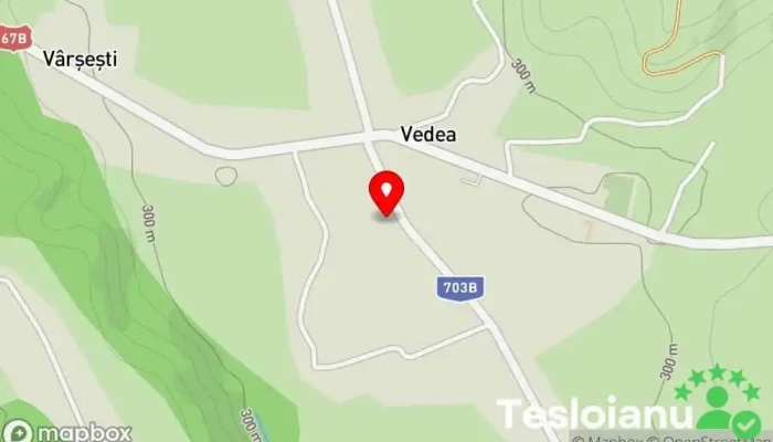 hartă a Vedea  în Vedea