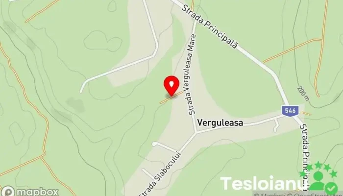 Verguleasa - Verguleasa