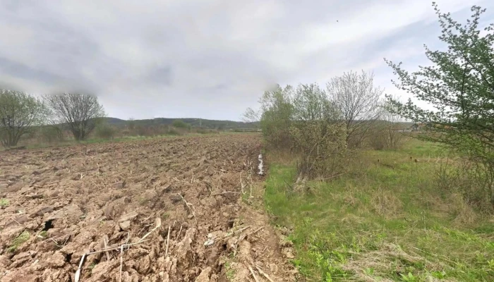 Vestem Street View Si 360deg - Veștem