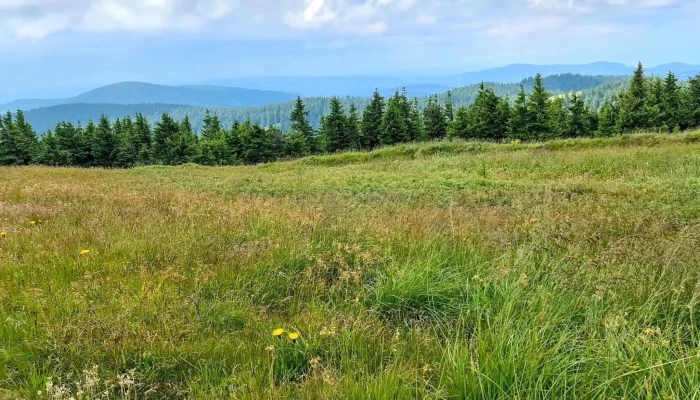 Vf Lacauti Scor - Romania