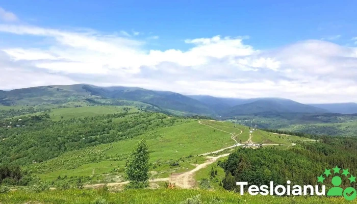 Vf Secaria Videoclipuri - Secăria