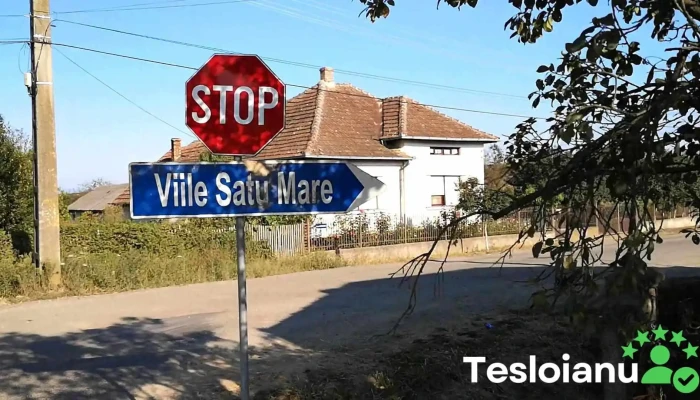 Viile Satu Mare -  Videoclipuri - Viile Satu Mare