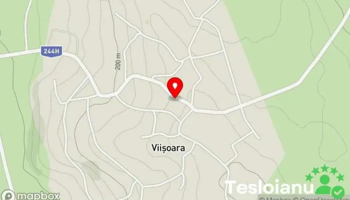 hartă a Viișoara  în Viișoara