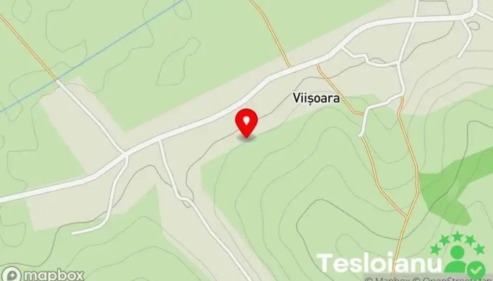 Viişoara - Viişoara