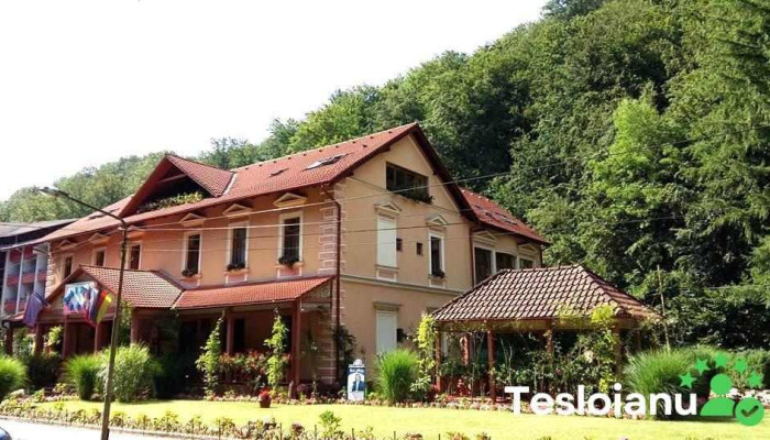 Vila Cerbul Albastru -  Cabana - Moneasa