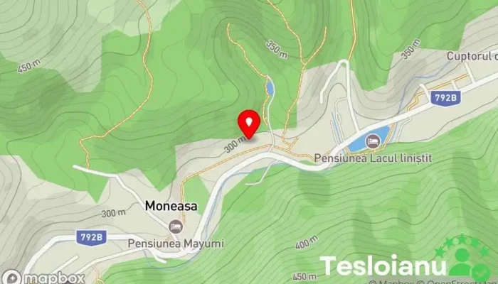 hartă a Vila Cerbul Albastru Bed & Breakfast în Moneasa