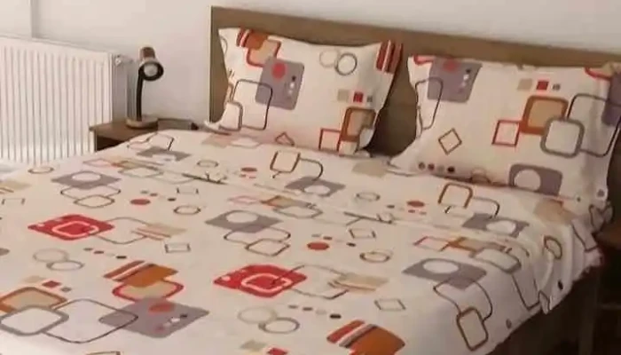 Vila Dragomirna -  De La Proprietar - Dragomirna