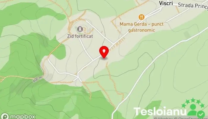 hartă a Viscri 125 Bed & Breakfast, Agenție de închirieri de case de vacanță în Viscri