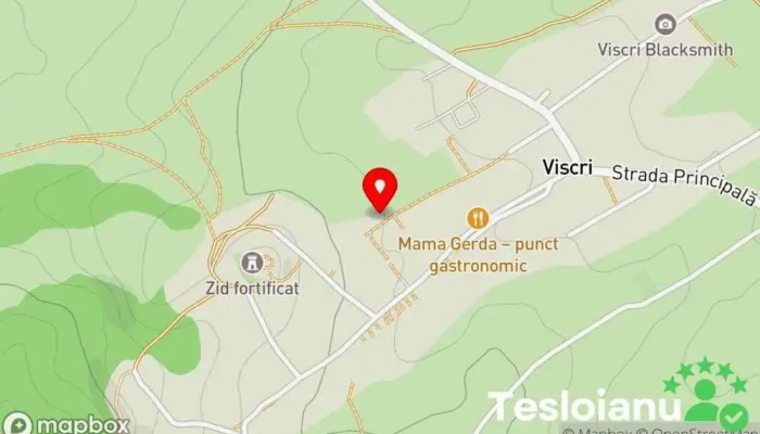 hartă a Viscri  în Viscri