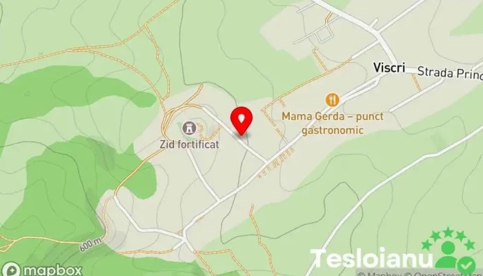 hartă a Viscri44 Pensiune în Viscri
