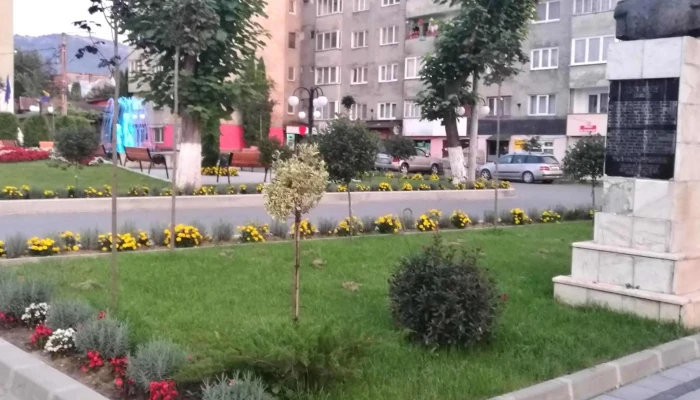 Viseul De Sus -  Număr - Vișeu De Sus
