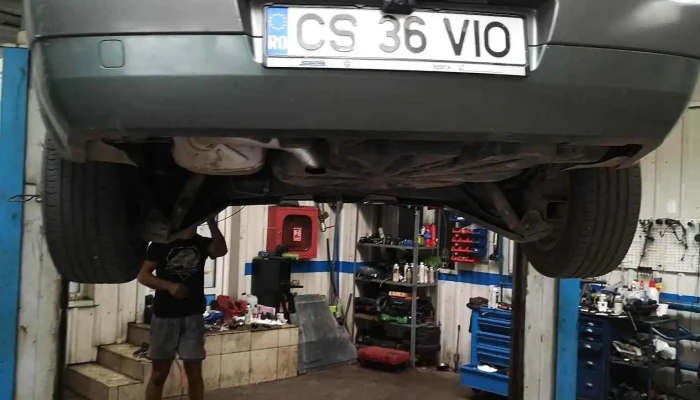 Vlady Serv Srl - Caransebeș 325400