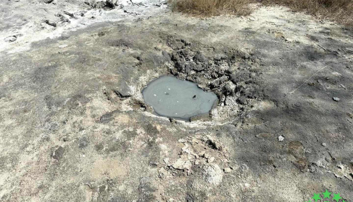 Vulcanii noroioși - Homorod