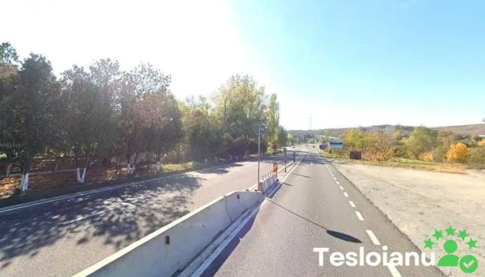 Vulcanizare cu presa - România
