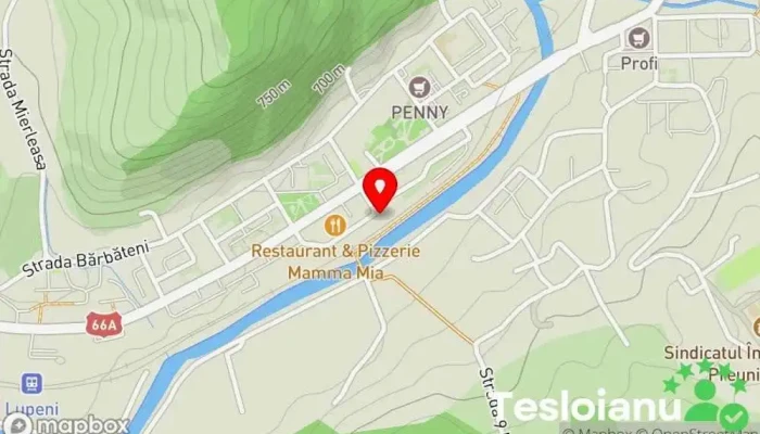 hartă a Vulcanizare La Pitu Atelier de reparații auto în Lupeni