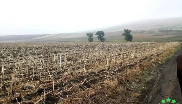Vutcani - Vutcani