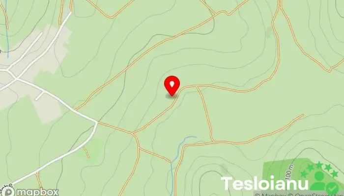 Wic Tractari Auto Targu Frumos, Judetul Iasi Non Stop, Platforma Auto Non Stop Iasi - Romania