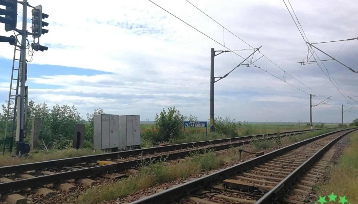 Zagna Vadeni Sina - Vădeni