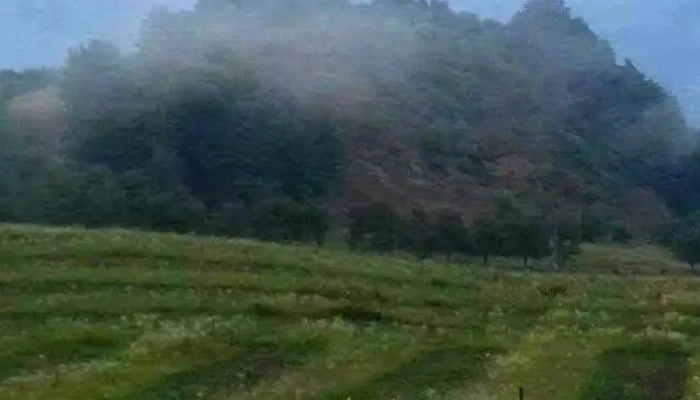 Zalha - Zalha