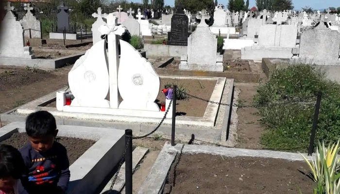 Zarand Locație - Zărand