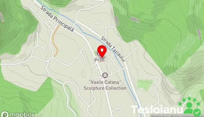 hartă a Zemeș  în Zemeș