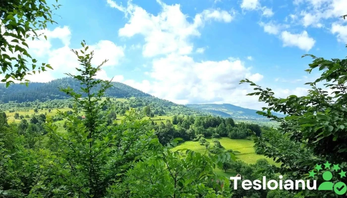 Zete Vara Munte - Sub Cetate