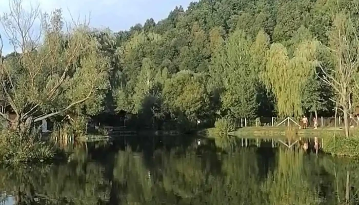 Zetevaraljai Horgaszto Videoclipuri - Sub Cetate