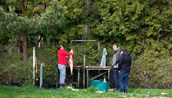 Zetevaraljai Horgaszto Zonă - Sub Cetate
