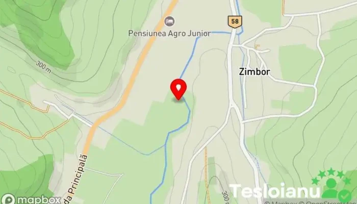 Zimbor - Zimbor