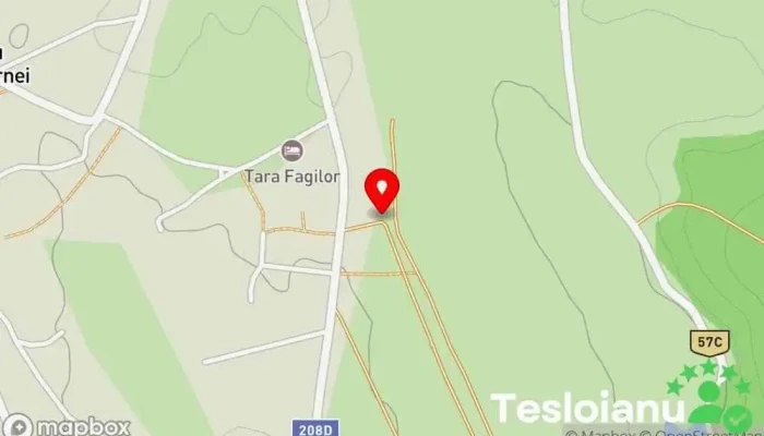 hartă a Zmeura Mitocu Dragomirnei Magazin în Mitocu Dragomirnei