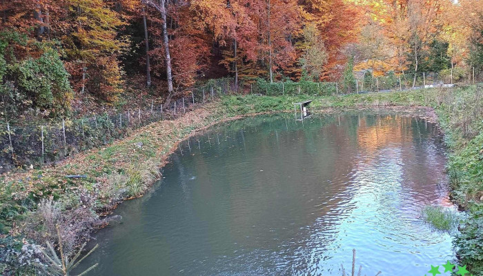 Zmeura Si Pastrav De Bargau -  De La Proprietar - Bistrița Bârgăului