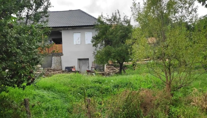 Zona Carstica Magura Site Web - Nucșoara