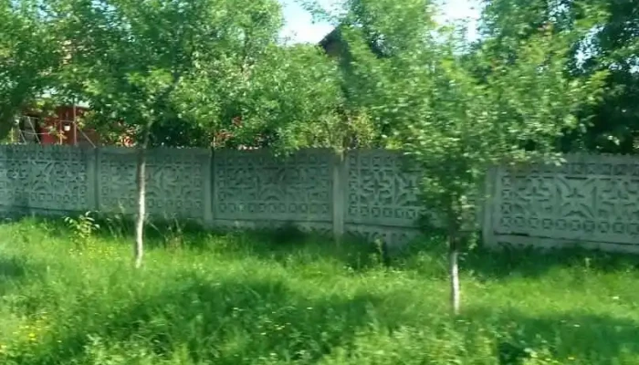 Șirineasa - Șirineasa
