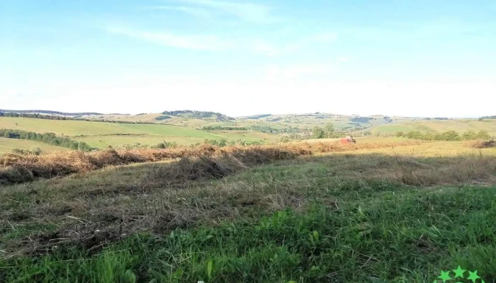 Șoarș - Șoarș