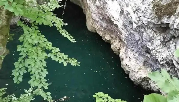 Șopotu Nou - Șopotu Nou