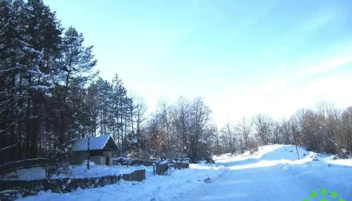 Șovarna - Șovarna